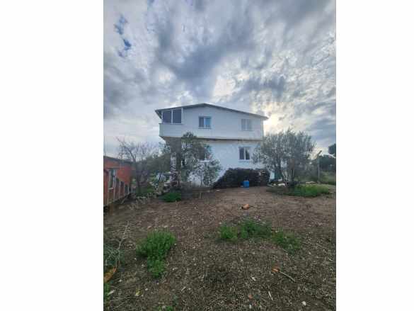 Denize 250M Mesafede Zeytinlik içinde ! 4+2 Satılık Müstakil Ev Ayvacık Gülpınar