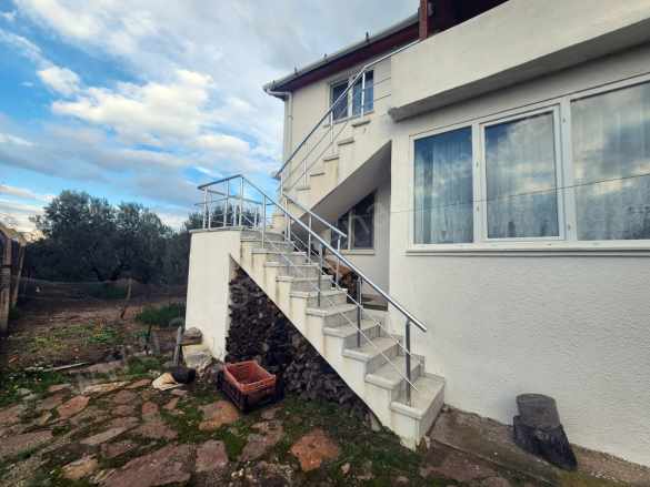 Denize 250M Mesafede Zeytinlik içinde ! 4+2 Satılık Müstakil Ev Ayvacık Gülpınar