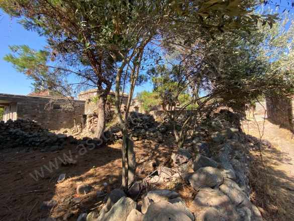 Çanakkale ili Ayvacık ilçesi Tamış Köyü %80 Köy içi imarlı Satılık Arsa