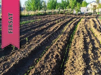 Satılık Arazi Tek Tapu Çiftlik Çubuk Fatih Mah Almera Emlak