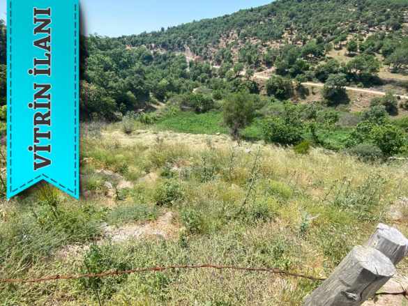 Manici Çiftlike 3Dk (1 5Km) Mesafade Satılık Arsa Ayvacık ilyasfakı Köyü