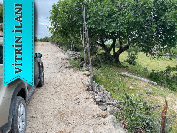 Çınarpınar Köyü Ayvacık Satılık Tarla |  1427M2 3.000.000Tl Resim-2