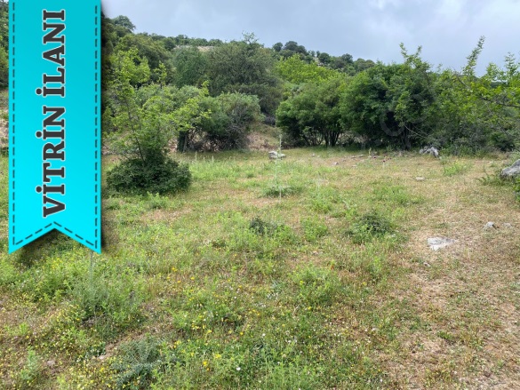 Çınarpınar Köyü Ayvacık Satılık Tarla |  1427M2 3.000.000Tl Resim-5