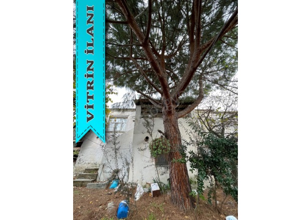 Babadere Köyü Ayvacık Satılık Arsa |  293M2 2.900.000Tl Resim-5