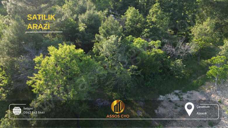 Sahibinden Denize Sadece 8 Km! 2010 M² Müstakil Tapulu Fırsat Arazi Satılık Tarla Ayvacık Ahmetçe Köyü