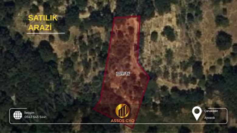 Sahibinden Denize Sadece 8 Km! 2010 M² Müstakil Tapulu Fırsat Arazi Satılık Tarla Ayvacık Ahmetçe Köyü