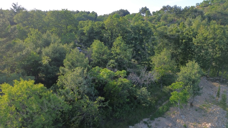 Ahmetçe Köyü Ayvacık Satılık Tarla |  2010M2 4.000.000Tl Resim-4