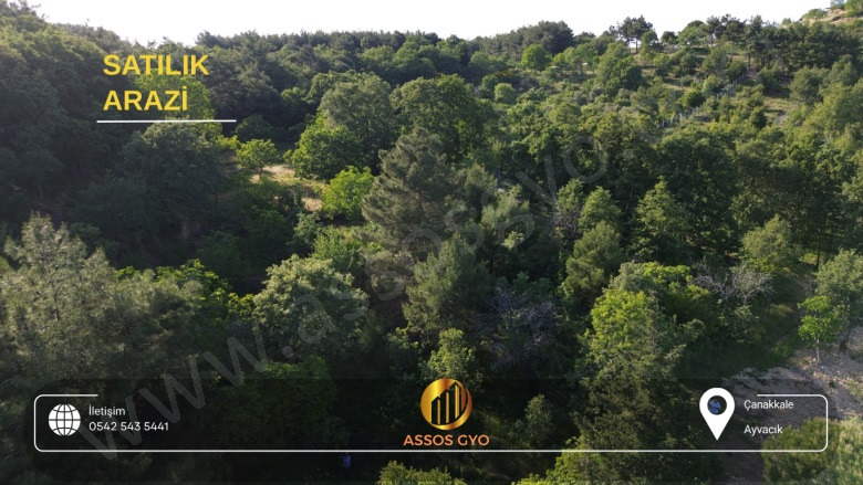 Ahmetçe Köyü Ayvacık Satılık Tarla |  2010M2 3.000.000Tl Resim-5