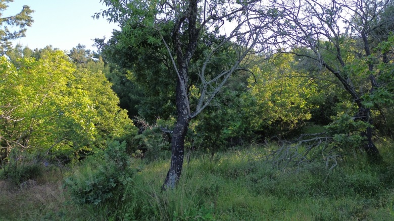 Ahmetçe Köyü Ayvacık Satılık Tarla |  2010M2 4.000.000Tl Resim-5