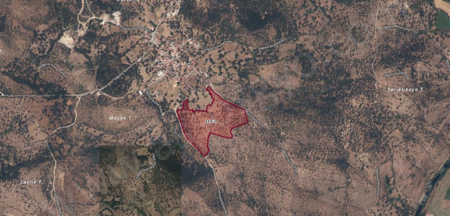 Söğütlü Köyü Ayvacık Satılık Tarla |  70000M2 110.000.000Tl Resim-1