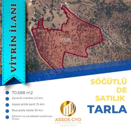 Söğütlü Köyü Ayvacık Satılık Tarla |  70000M2 110.000.000Tl Resim-2