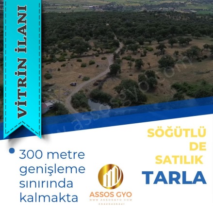 Söğütlü Köyü Ayvacık Satılık Tarla |  70000M2 110.000.000Tl Resim-3