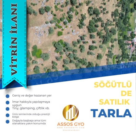 Söğütlü Köyü Ayvacık Satılık Tarla |  70000M2 110.000.000Tl Resim-4