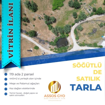 Söğütlü Köyü Ayvacık Satılık Tarla |  70000M2 110.000.000Tl Resim-5