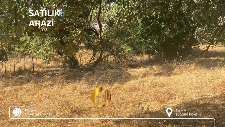 Söğütlü Köyü Ayvacık Satılık Arazi |  437M2 8.750.000Tl Resim-4