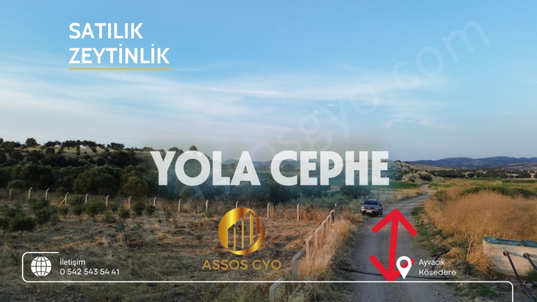 Çamoba Mah-Kösedere Köyü. Ayvacık Satılık Tarla |  2900M2 1.500.000Tl Resim-1