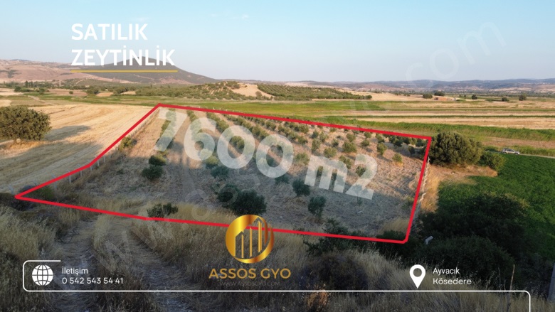 Çamoba Mah-Kösedere Köyü. Ayvacık Satılık Tarla |  54600M2 35.000.000Tl Resim-1