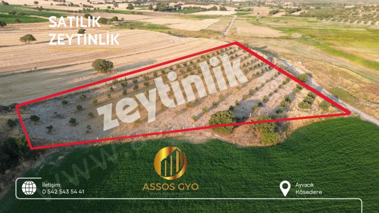 Çamoba Mah-Kösedere Köyü. Ayvacık Satılık Tarla |  54600M2 35.000.000Tl Resim-2