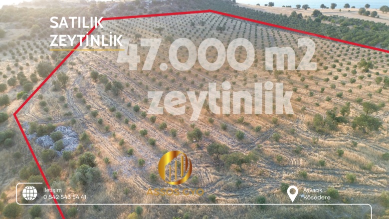 Çamoba Mah-Kösedere Köyü. Ayvacık Satılık Tarla |  54600M2 35.000.000Tl Resim-3