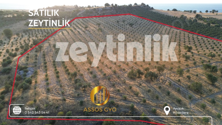 Çamoba Mah-Kösedere Köyü. Ayvacık Satılık Tarla |  54600M2 35.000.000Tl Resim-4