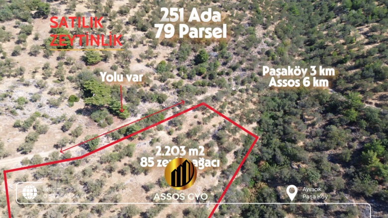 Paşaköy Altı Mah-Paşaköy Köyü. Ayvacık Satılık Tarla |  2203M2 2.300.000Tl Resim-1