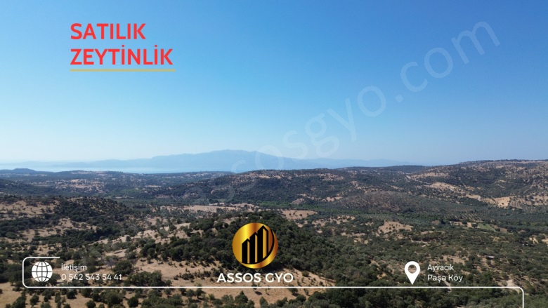 Paşaköy Altı Mah-Paşaköy Köyü. Ayvacık Satılık Tarla |  2203M2 2.300.000Tl Resim-3