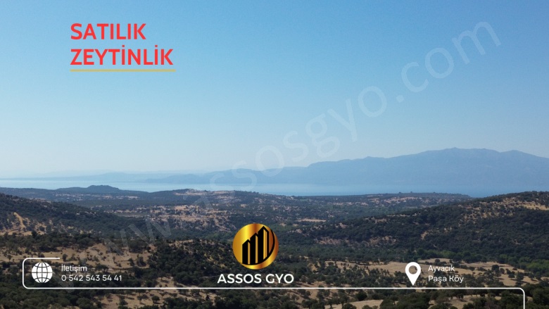 Paşaköy Altı Mah-Paşaköy Köyü. Ayvacık Satılık Tarla |  2203M2 2.300.000Tl Resim-4