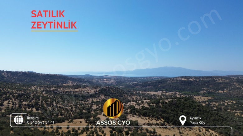 Paşaköy Altı Mah-Paşaköy Köyü. Ayvacık Satılık Tarla |  2203M2 2.300.000Tl Resim-5