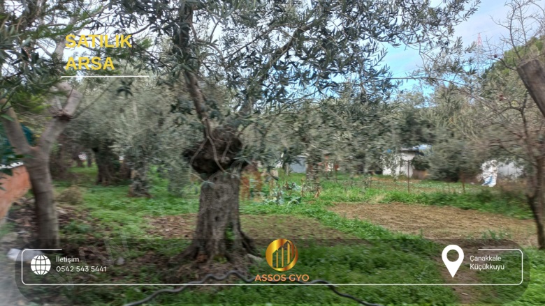 Gökçetepe Mah-Küçükkuyu Köyü. Ayvacık Satılık Arsa |  321M2 6.250.000Tl Resim-2