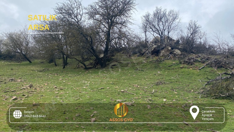 Yeniçam Köyü Ayvacık Satılık Arsa |  1205M2 6.500.000Tl Resim-3