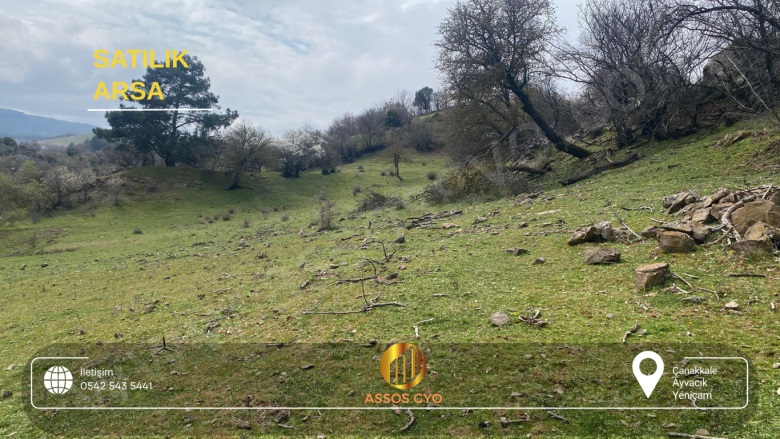 Yeniçam Köyü Ayvacık Satılık Arsa |  1205M2 6.500.000Tl Resim-4