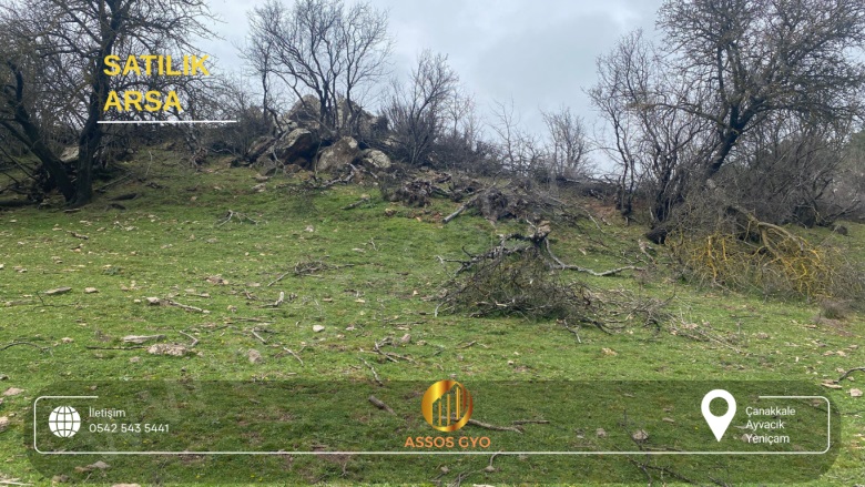 Yeniçam Köyü Ayvacık Satılık Arsa |  1205M2 6.500.000Tl Resim-5