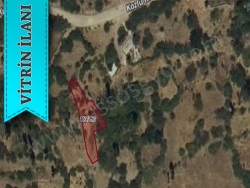 Ayvacık Kozlu Köyü Satılık Arsa 477 M2