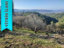 Ayvacık Kırca Köyü Satılık Arsa 460 M2