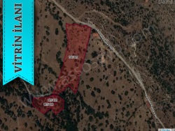 Ayvacık Kuruoba Köyü Satılık Tarla 7228 M2