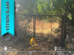 Ayvacık Söğütlü Köyü Satılık Arazi 437 M2