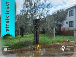 Ayvacık Gökçetepe Mah-Küçükkuyu Köyü. Satılık Arsa 321 M2