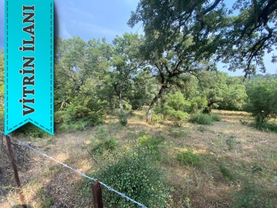 Söğütlü Köyünde Satılık Tarla Çanakkale Ayvacık