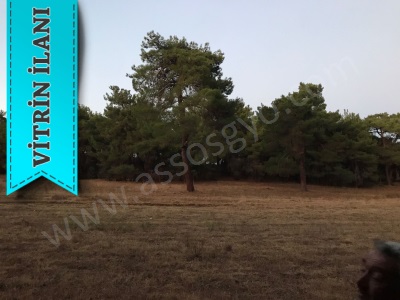 Bayramiç Pıtıreli Köyünde Satılık Tarla