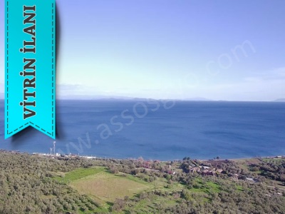 Kozlu Köyünde Satılık Tarla Deniz Manzaralı Ve Zeytinlik Ayvacık