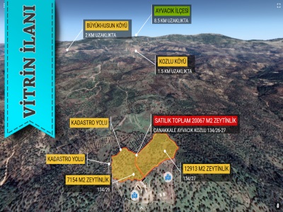 Kozlu Köyünde Deniz Manzaralı Satılık Tarla Zeytinlik Ayvacık