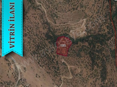 Bektaş Köyünde Satılık Tarla Çanakkale Ayvacık