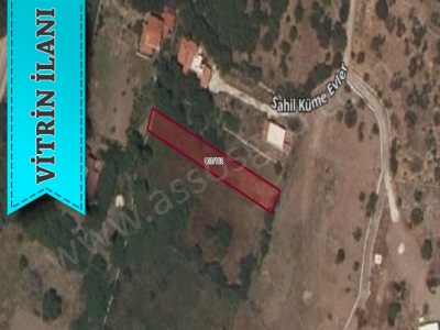 Sivrice Koyunda Satılık Tarla Çanakkale Ayvacık Bektaş Köyü