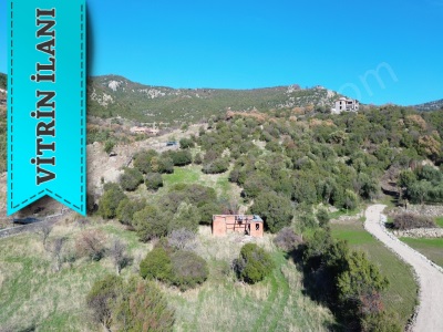 Kozlu Köyünde Deniz Manzaralı Satılık Tarla Ayvacık