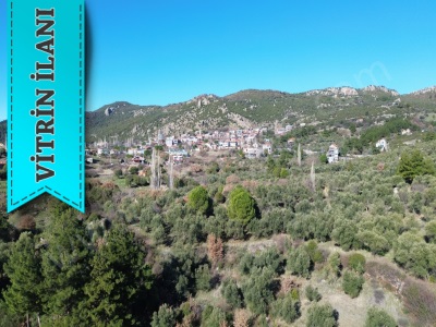 Kozlu Köyünde İmara Sınır Satılık Tarla Ayvacık