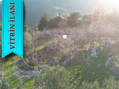 Hasanobası Mahallesinde Deniz Manzaralı Sarılık Satılık Arsa Ayvacık Nusratlı Köyü