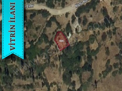 Kozlu Köyünde Satılık Tarla Deniz Manzaralı Ayvacık