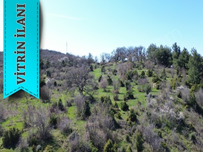 Söğütlü Köyünde Doğa Ve Şehir Manzaralı Satılık Tarla Ayvacık