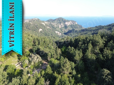 Ahmetçe Köyünde Satılık Tarla Bahçe Çanakkale Ayvacık