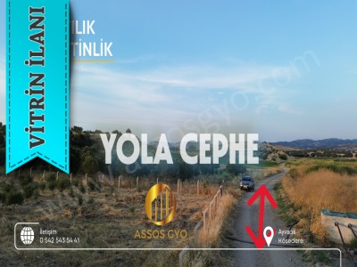 Ayvacık Kösederede 2 900 M² Tel Çevrili Zeytinlik Yola Cepheli Satılık Tarla Çamoba Mah-Kösedere Köyü